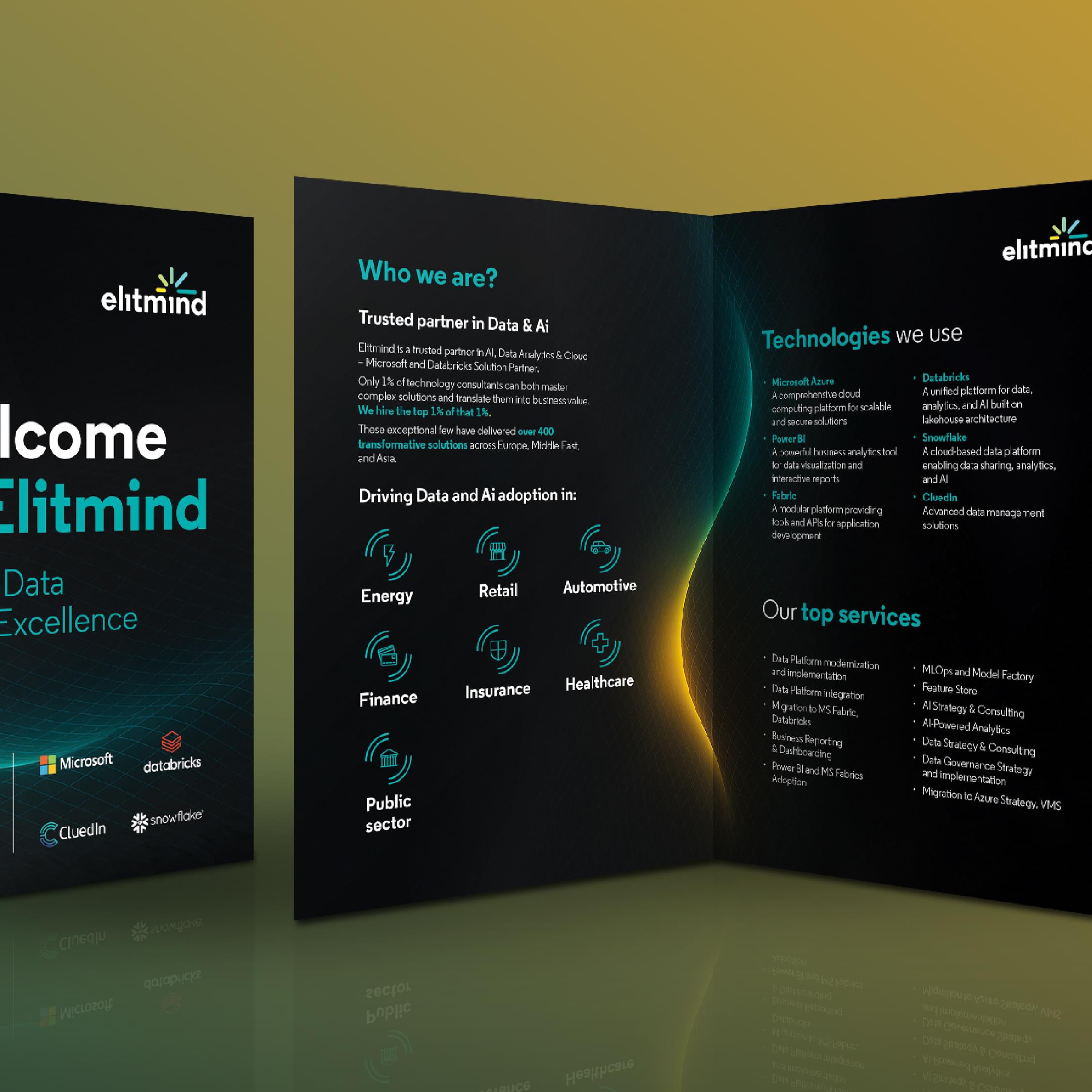 Projekt ulotki Elitmind